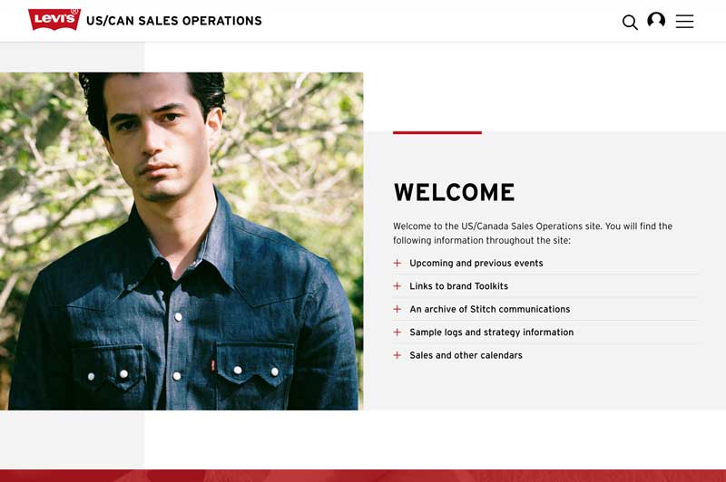 Levi Strauss screenshot