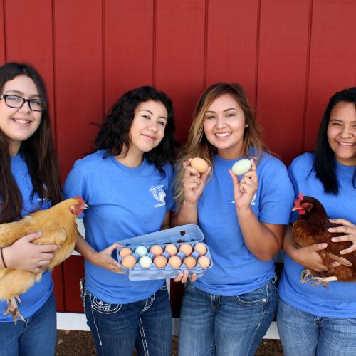students with chickens and eggs
