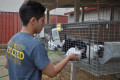 Calaged Student with Chickens